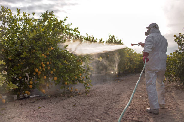 Best Fumigation Services  in Villas, NJ